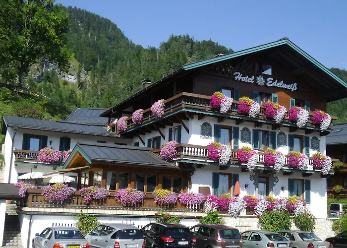 Edelweiss