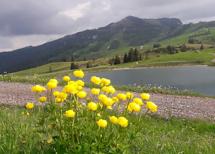Edelweiss