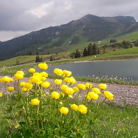 Edelweiss