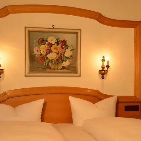 Edelweiss Hotel 3*