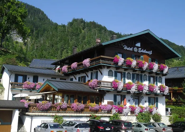Hotel Edelweiss 3*